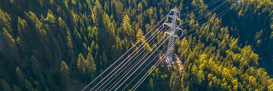 Aerial view of powerlines running through a forest