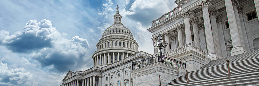 Steps leading up to the U.S. Capitol building in Washington D.C.