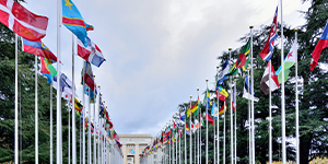 Série de drapeaux du monde entier devant le bureau des Nations Unies à Genève.